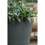 Pottery Pots Refined Bucket ronde plantenbak groen detail
